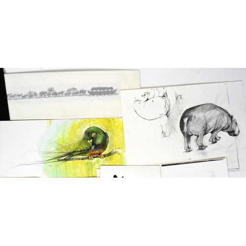 164 - Former Bristol Zoo Gardens - an assortment of zoo related artwork, including pen and ink drawings, s... 