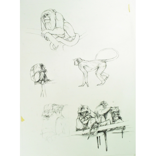 166 - Former Bristol Zoo Gardens - a collection of x6 pieces of original hand drawn artwork depicting a va... 