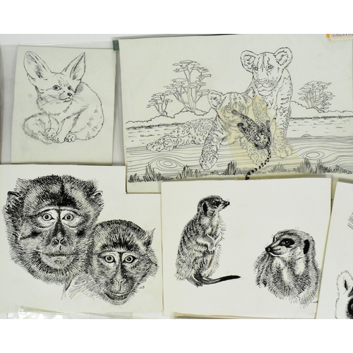 171 - Former Bristol Zoo Gardens - a collection of original detailed pen and ink Zoo animal illustrations,... 