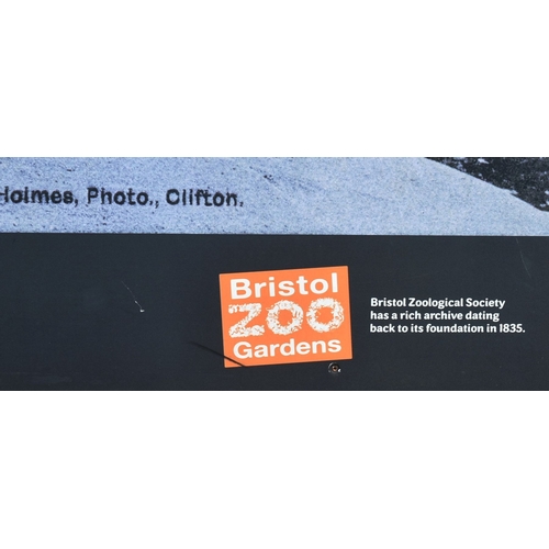 178 - Former Bristol Zoo Gardens - a large format enlarged photograph of ' Bristol Carnival Bridge Over La... 