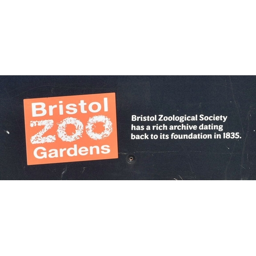 18 - Former Bristol Zoo Gardens - a large format enlarged photograph of ' Rhesus Monkeys At Bristol Zoo'.... 