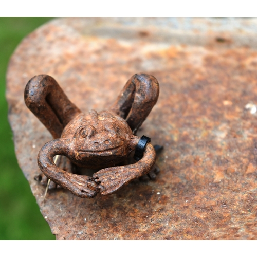 183 - Former Bristol Zoo Gardens - 'Lily Pad' by Strawberry Steel - a steel garden sculpture of a frog on ... 