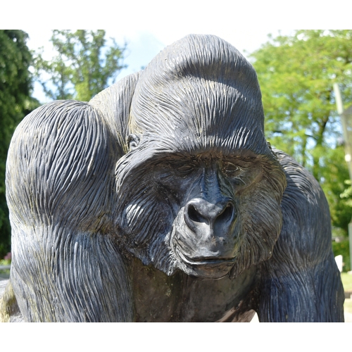 20 - Former Bristol Zoo Gardens - a 1/1 scale custom-made life-size fibreglass statue of a Gorilla. Model... 