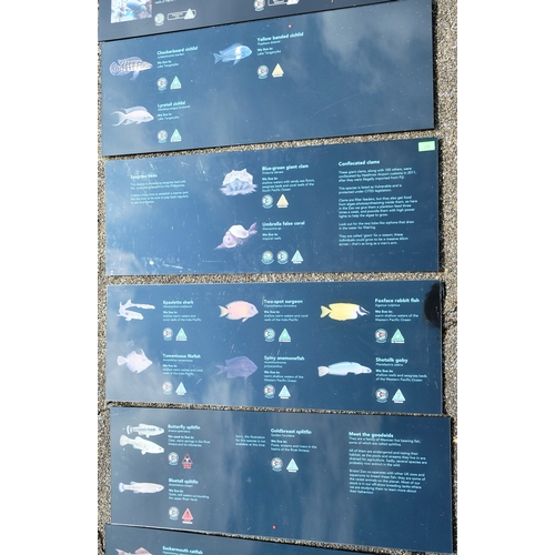 204 - Former Bristol Zoo Gardens - Aquarium - a collection of x8 original lightbox signs from the Aquarium... 