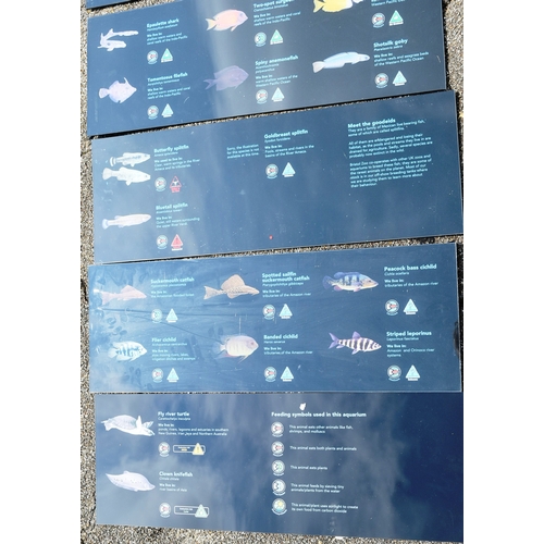 204 - Former Bristol Zoo Gardens - Aquarium - a collection of x8 original lightbox signs from the Aquarium... 