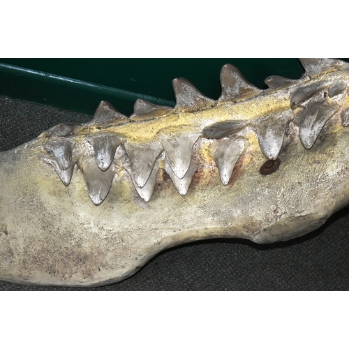 209 - Former Bristol Zoo Gardens - a large vintage life-size 1/1 scale shark's jaw replica in fibreglass /... 