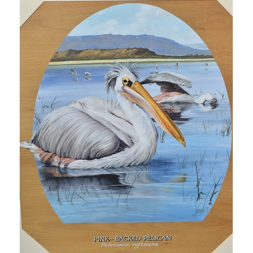 224 - Former Bristol Zoo Gardens - 'Pink-Backed Pelican' - Susan Jane (1999) - oil on board painting of a ... 