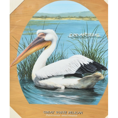 228 - Former Bristol Zoo Gardens - 'Great White Pelican' - Susan Jane (1998) - oil on board painting of a ... 