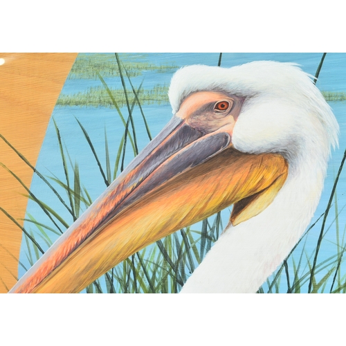 228 - Former Bristol Zoo Gardens - 'Great White Pelican' - Susan Jane (1998) - oil on board painting of a ... 