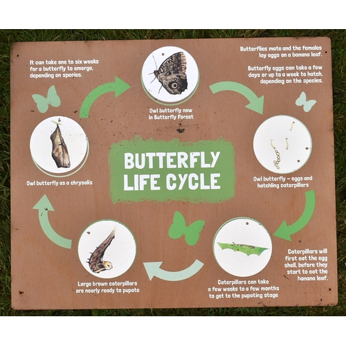 235 - Former Bristol Zoo Gardens - a collection of signs from Butterfly Forest - 'Butterfly Life Cycle,' '... 