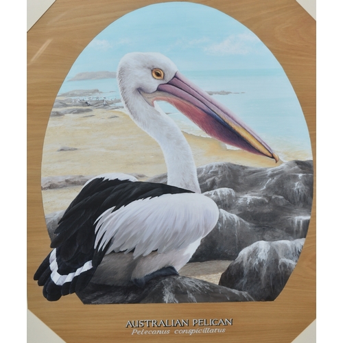 238 - Former Bristol Zoo Gardens - 'Australian Pelican' - Susan Jane (1998) - oil on board painting of an ... 