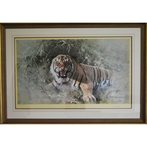 247 - Former Bristol Zoo Gardens - David Shepherd (Artist & Conservationist 1931-2017) - Tiger Fire - ... 