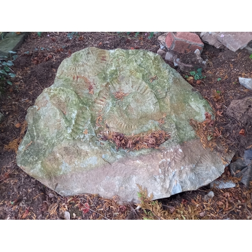 249 - Former Bristol Zoo Gardens - a collection of three large sandstone Ammonite fossils / carvings, as d... 