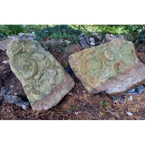 249 - Former Bristol Zoo Gardens - a collection of three large sandstone Ammonite fossils / carvings, as d... 