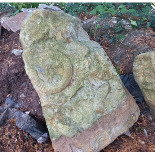 249 - Former Bristol Zoo Gardens - a collection of three large sandstone Ammonite fossils / carvings, as d... 