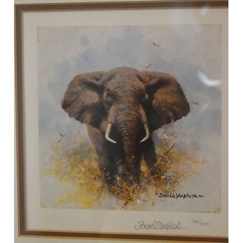 259 - Former Bristol Zoo Gardens - David Shepherd (Artist & Conservationist 1931-2017) - Elephant - a ... 