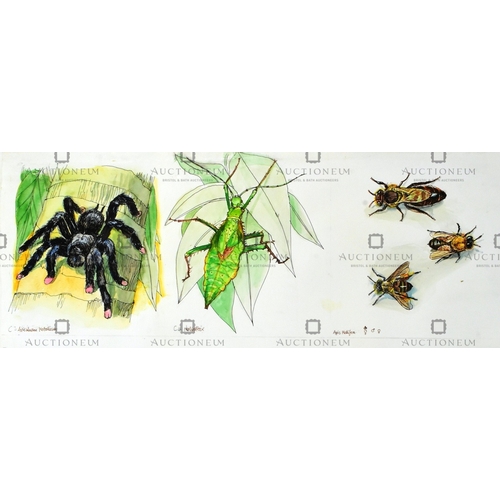 26 - Former Bristol Zoo Gardens - five pieces of original mixed media artwork depicting multiple types of... 