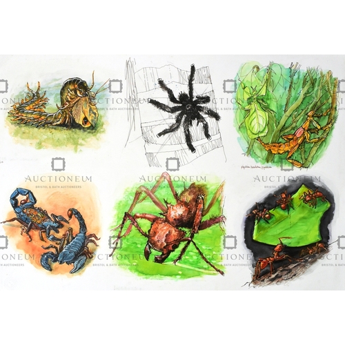 26 - Former Bristol Zoo Gardens - five pieces of original mixed media artwork depicting multiple types of... 