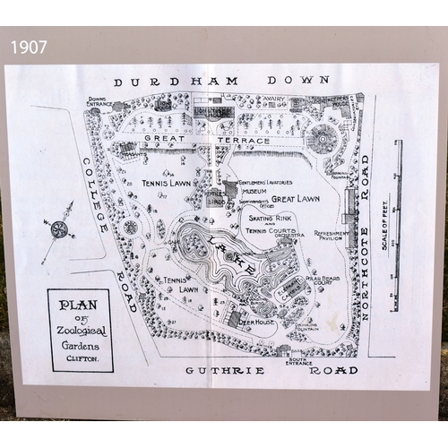 260 - Former Bristol Zoo Gardens - a collection of x5 'Bristol Zoo Through Time' replica oversized maps of... 