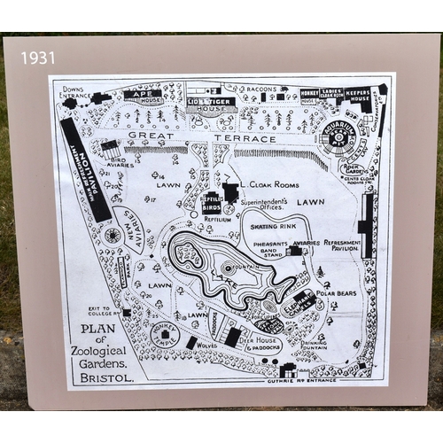 260 - Former Bristol Zoo Gardens - a collection of x5 'Bristol Zoo Through Time' replica oversized maps of... 