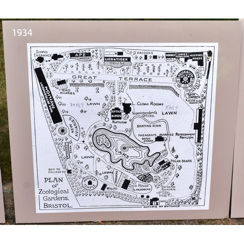 260 - Former Bristol Zoo Gardens - a collection of x5 'Bristol Zoo Through Time' replica oversized maps of... 