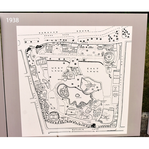 260 - Former Bristol Zoo Gardens - a collection of x5 'Bristol Zoo Through Time' replica oversized maps of... 