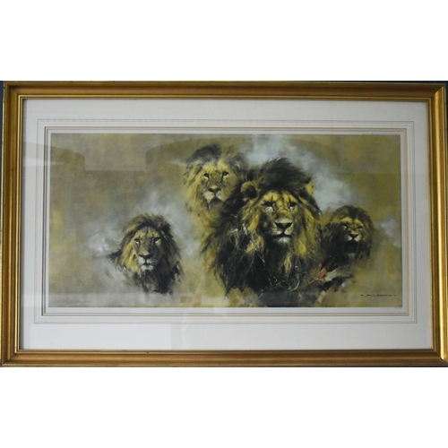 267 - Former Bristol Zoo Gardens - David Shepherd (Artist & Conservationist 1931-2017) - Lions - a lar... 