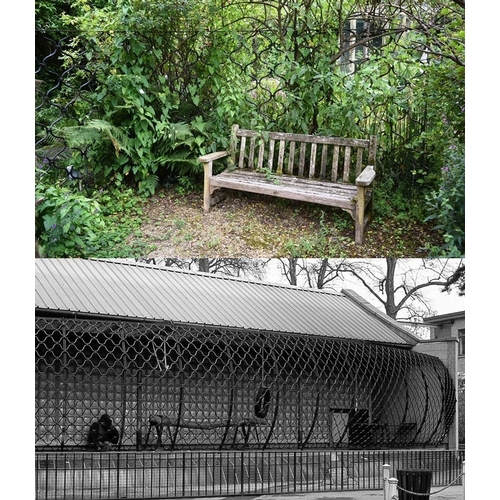 280 - Former Bristol Zoo Gardens - After Sir Alfred Pugsley - two original sections of the iconic 1956 Bri... 