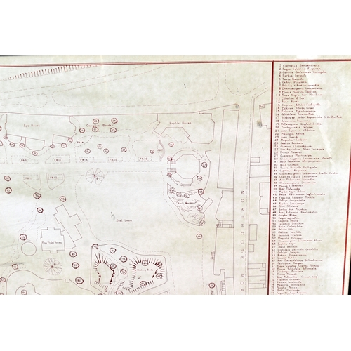 282 - Former Bristol Zoo Gardens - an original vintage 1981 issued 'Catalogue of Trees' map, listing all t... 