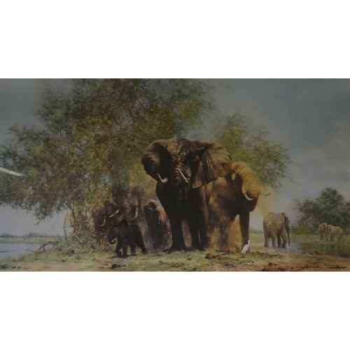 288 - Former Bristol Zoo Gardens - David Shepherd (Artist & Conservationist 1931-2017) - Elephants &am... 