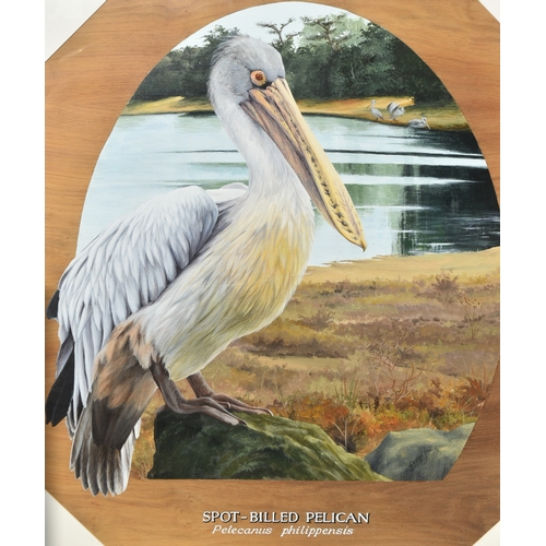 291 - Former Bristol Zoo Gardens - 'Spot-Billed Pelican' - Susan Jane (1998) - oil on board painting of a ... 