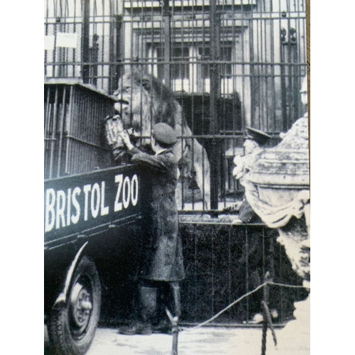 292 - Former Bristol Zoo Gardens - a large format enlarged photograph of a 1930s scene at Bristol Zoo Gard... 