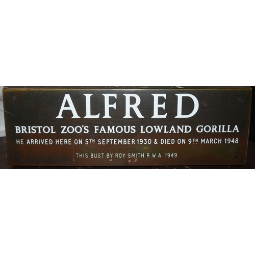 30 - Former Bristol Zoo Gardens - the original carved stone bust of the iconic Bristol Zoo Gardens' goril... 