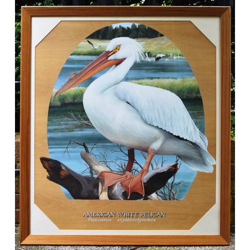 36 - Former Bristol Zoo Gardens - 'American White Pelican' - Susan Jane (1999) - oil on board painting of... 