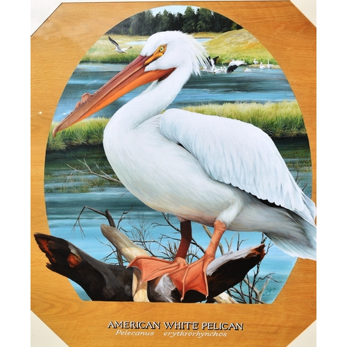 36 - Former Bristol Zoo Gardens - 'American White Pelican' - Susan Jane (1999) - oil on board painting of... 