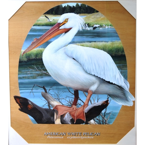 36 - Former Bristol Zoo Gardens - 'American White Pelican' - Susan Jane (1999) - oil on board painting of... 