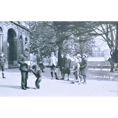 44 - Former Bristol Zoo Gardens - a large format enlarged photograph of Bristol Zoo Gardens taken c1927. ... 