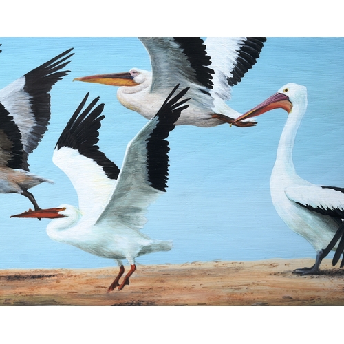 63 - Former Bristol Zoo Gardens - 'Seven Species Of Pelican' - Susan Jane (1999) - oil on board painting ... 