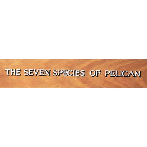 63 - Former Bristol Zoo Gardens - 'Seven Species Of Pelican' - Susan Jane (1999) - oil on board painting ... 