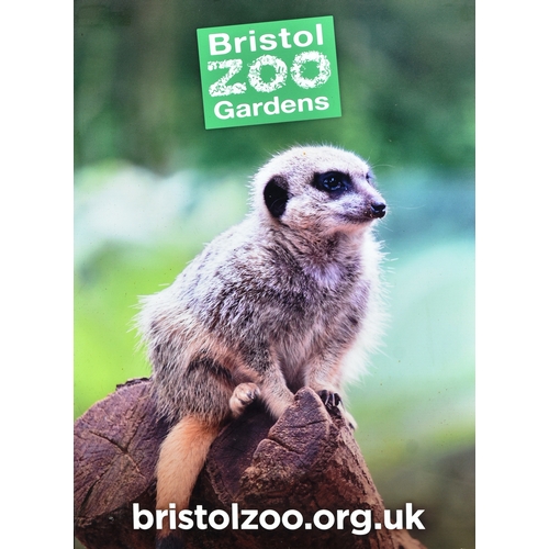 87 - Former Bristol Zoo Gardens - two original Meerkat themed advertising signs. Both featuring the Brist... 