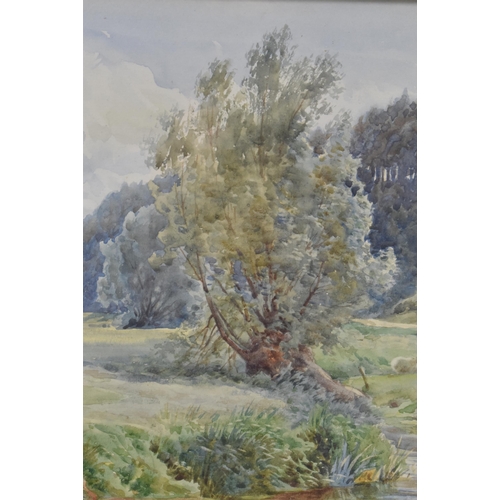 460 - Charles James Adams (British school, 1859-1931) - An early 20th century watercolour country landscap... 