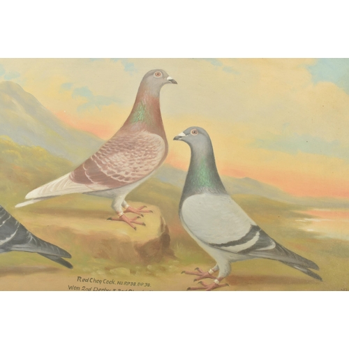 550 - Andrew Beer (British, 1862-1954) - Blue Cheq Cock, Red Cheq Cock & Blue Cock - A 20th century or... 