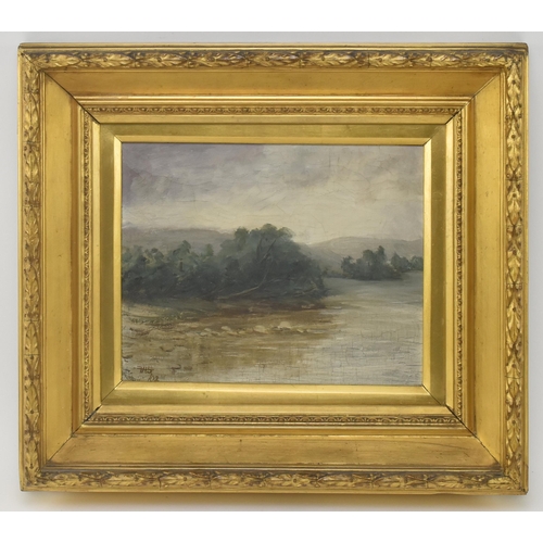 551 - A Victorian 19th century English School oil on canvas landscape painting of riverside. Illegibly sig... 