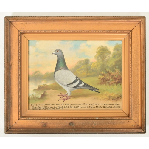 560 - Andrew Beer (British, 1862-1954) - Blue Cock N. U. R. P. 37 BPH 222 - A 20th century original oil on... 