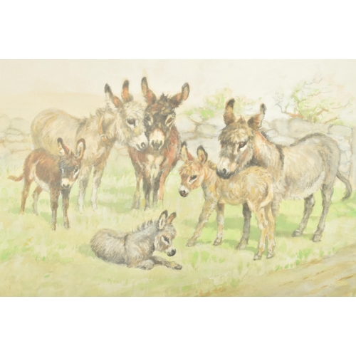 589 - Mabel Gear (British, 1900-1997) - Donkeys - a 20th century watercolour & pencil on paper paintin... 