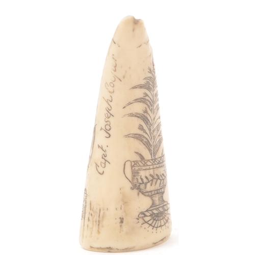 359 - Two 20th century resin scrimshaw sperm whale carved teeth. Dated May 12th 1836, ship Australia carve... 