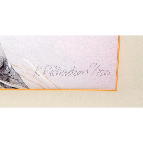 352 - K Richardson - A limited edition print of a Peregrine Falcon. Signed and numbered 12/750 in pencil. ... 