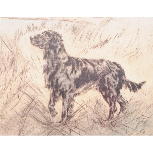 356 - Henry Wilkinson (1921 - 2011) - A 20th century coloured etching of a flat-coated retriever dog in a ... 