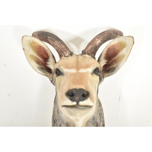 215 - Of Natural History / Taxidermy Interest - a large taxidermy Antelope / Gazelle head and neck. The an... 