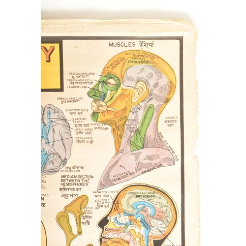 594 - Indian Book Depot Map House - a vintage mid century Indian Human Skeleton physiological medical post... 